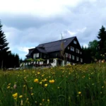 Vypere a vymandluje a zase nám je doveze čisté a voňavé nazpět